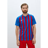 NIKE CAMISETA NIKE M NK STRP DVSN III JSY SS XL - foto 2