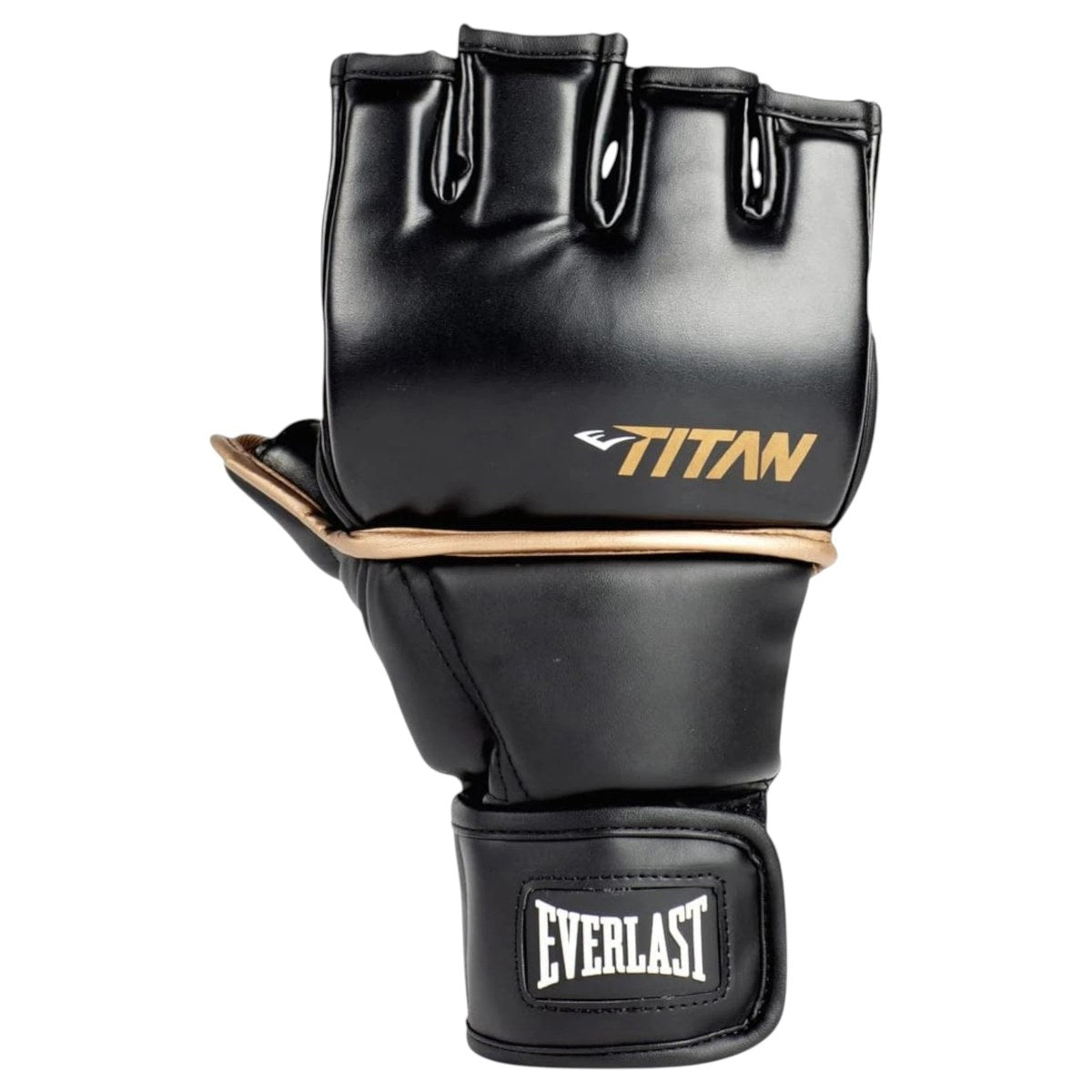 EVERLAST TITAN - foto 3
